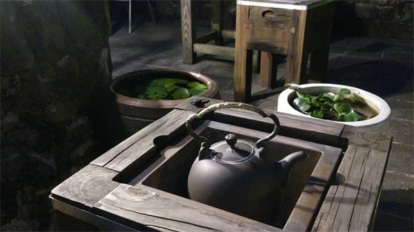 Wort Plants: 5 Surprising Facts You Need to Know