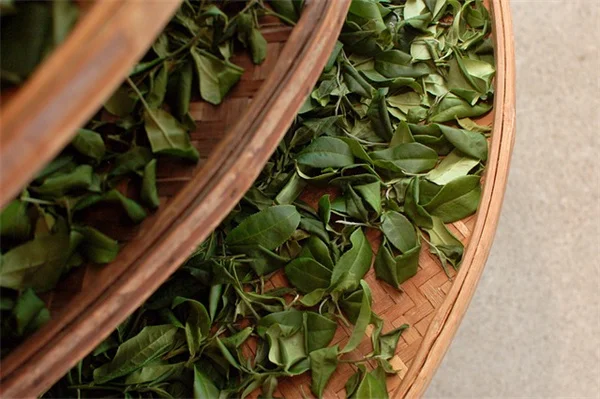 Nurture Your Soil, Save Money, and Grow a Better Garden