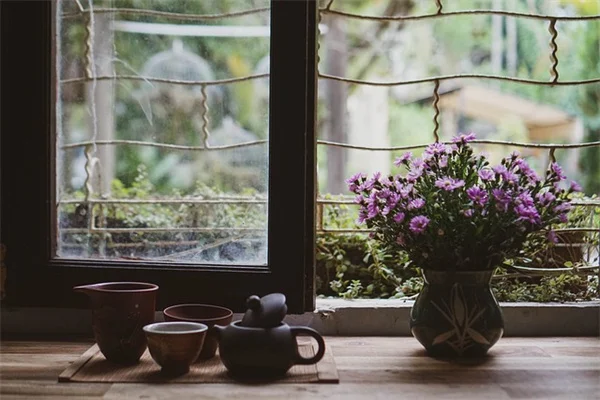 Why Your Dog or Cat Should Stay Away From Citronella Geraniums