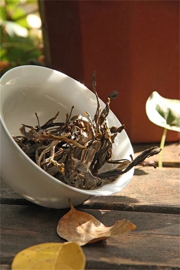 How to Start a Fall Garden: A Simple Beginner's Guide