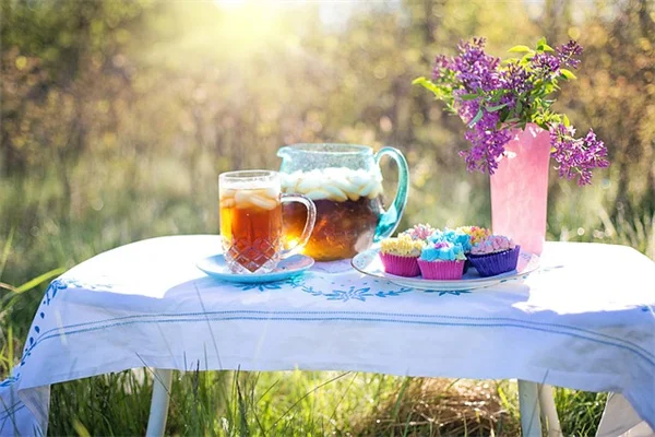 How to Start a Fall Garden: A Simple Beginner's Guide