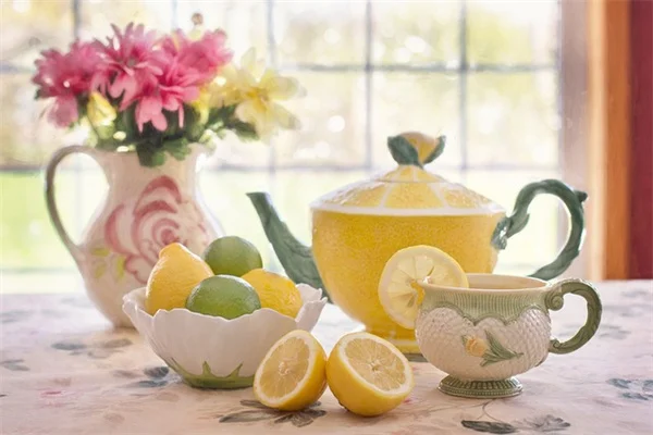 Improve Houseplant Health: 7 Simple Care Tips